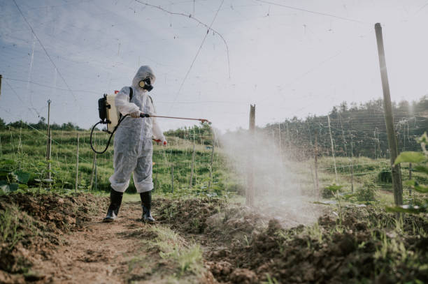 Best Pest Control for Homes  in Somerset, NJ