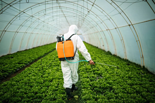 Best Affordable Pest Control Services  in Somerset, NJ