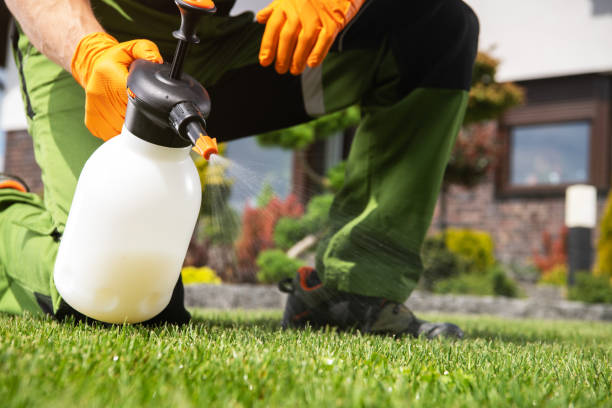 Best Wasp Removal Services  in Somerset, NJ