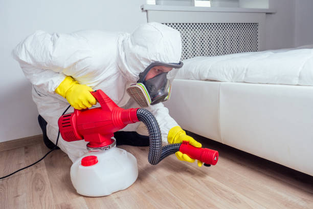 Wildlife Control Services in Somerset, NJ