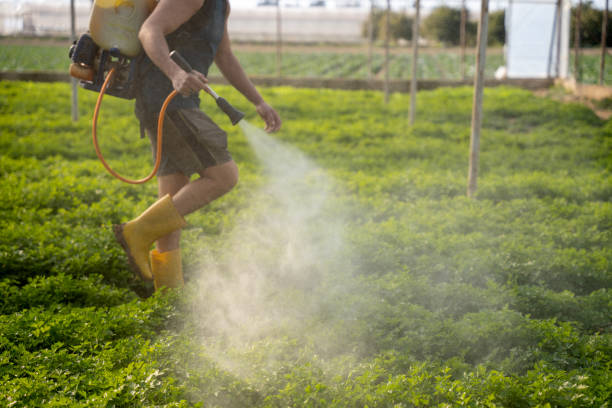 Best Mosquito Control Services  in Somerset, NJ