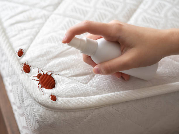 Best Residential Pest Control  in Somerset, NJ