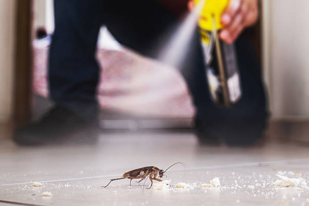 Trusted Somerset, NJ Pest Control Experts