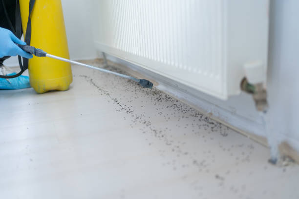 Best Best Pest Control Companies  in Somerset, NJ