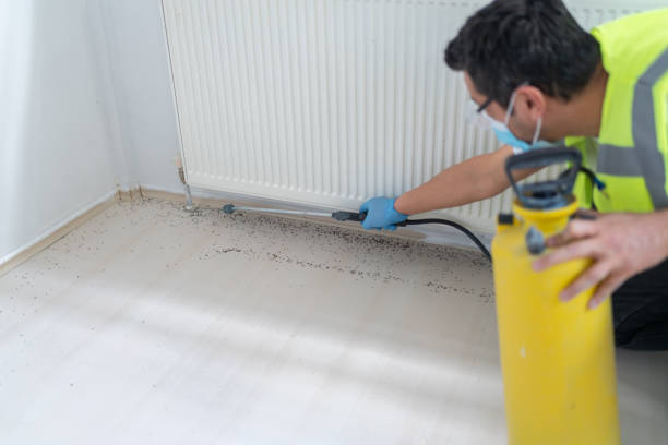 Best Pest Removal Services  in Somerset, NJ